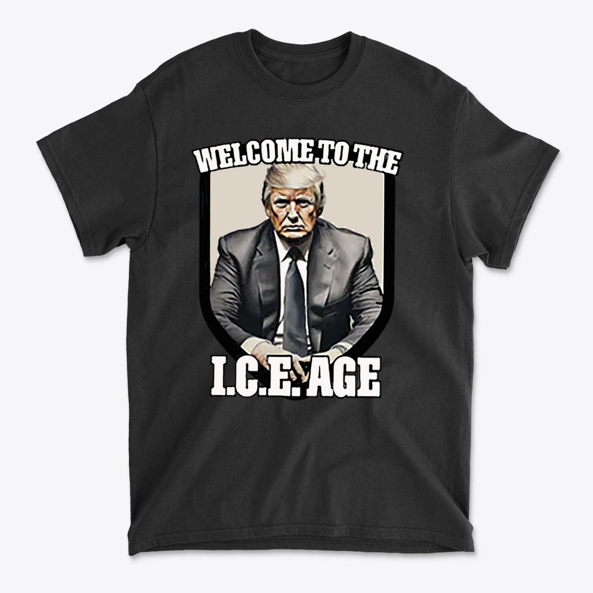 Welcome To The ICE Age Meme Style Graphic Shirt