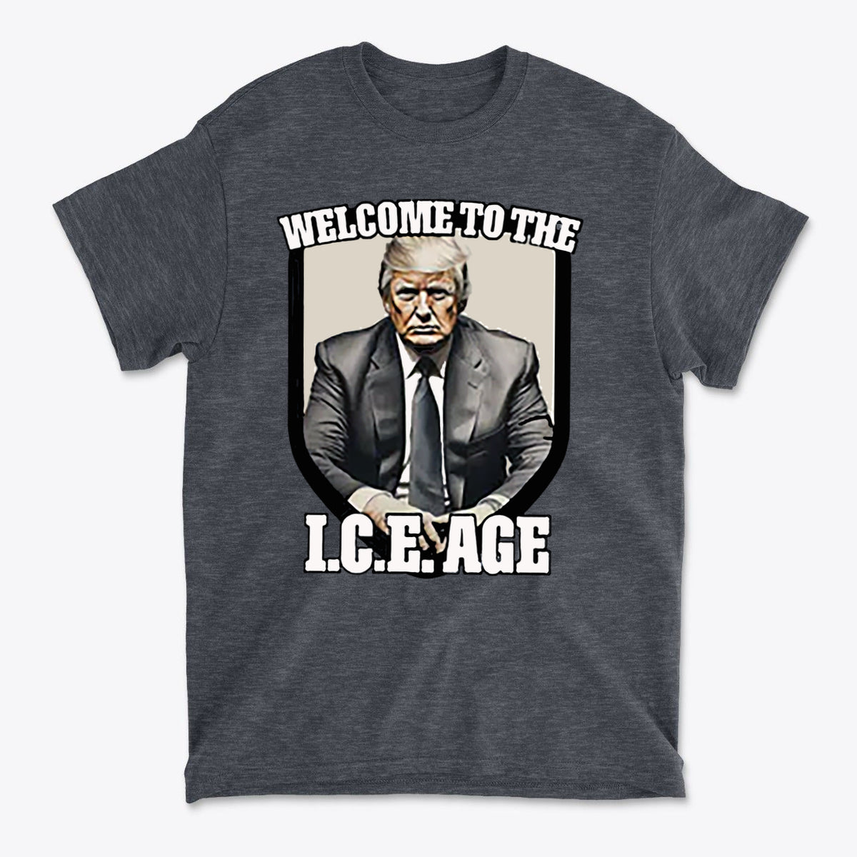 Welcome To The ICE Age Meme Style Graphic Shirt