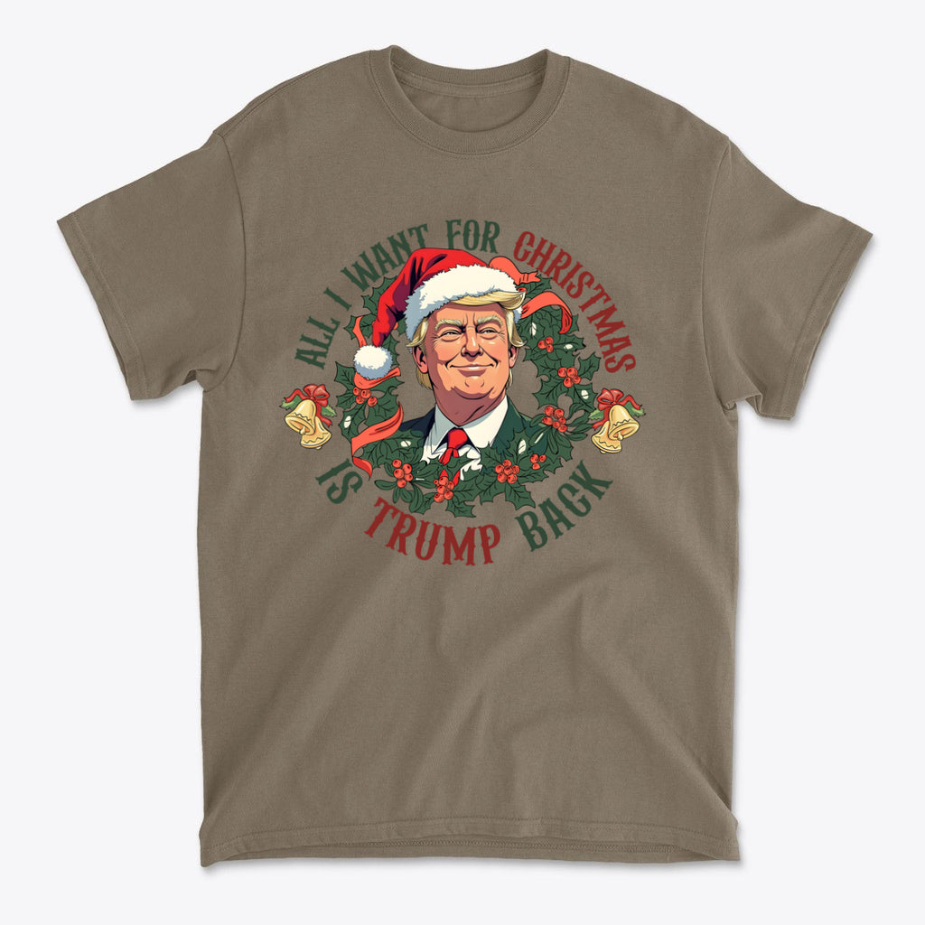All I Want For Christmas Is Trump Back
