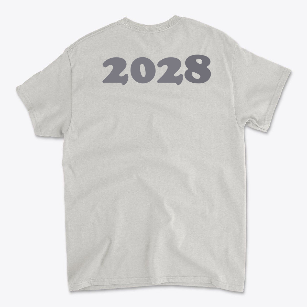 2028 Back Print Apparel Concept gray graphic tee with bold '2028' print on the back.